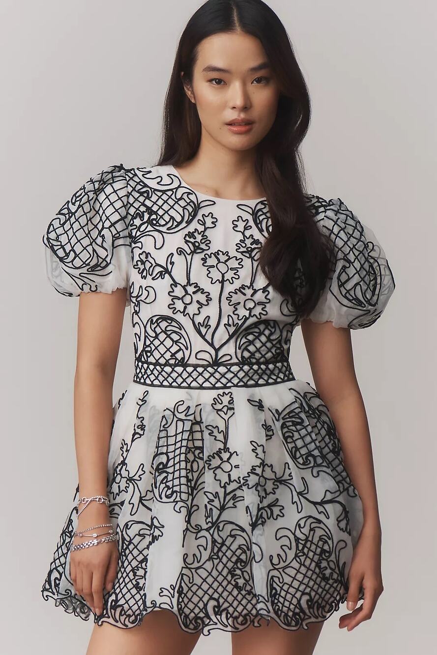 nwt ANTHROPOLOGIE MAEVE sz 12 puff sleeve embroidered mini dress